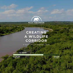 Wild Tomorrow Fund: Elephant Coast Fundraiser Website