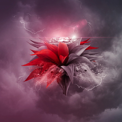 Luxurious