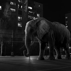 WWF - Space to live.