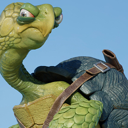 Pirate Turtle