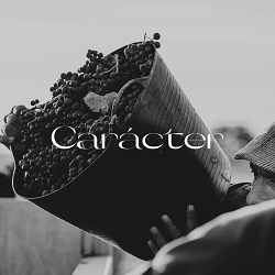 Carácter