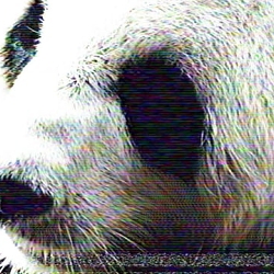 WWF - No act of charity