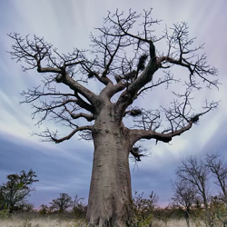 Stanbic Bank - Zimbabwe is Our Home