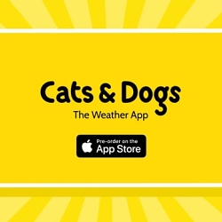 Cats & Dogs - The Weather App