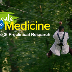 Interactive film series showing pharma employees how a molecule becomes a medicine