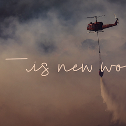 Letters to this New World
