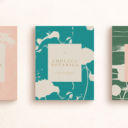 Chelsea Botanica