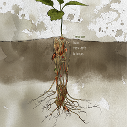 Roots
