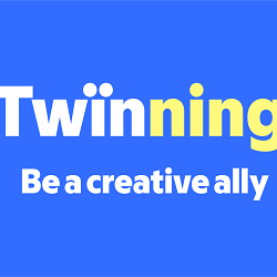 Twinning - Be A Creative Ally