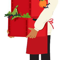 Picnic Branding Illustrations