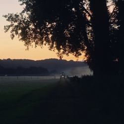 Field & Flower / Our Home To Yours
