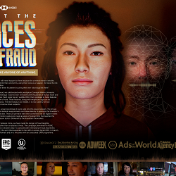 Faces Of Fraud