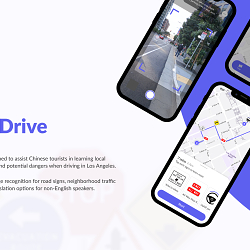 Way to Drive: Navigating Foreign Roads Safely