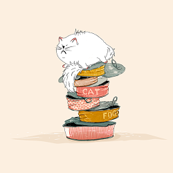 Cat love food