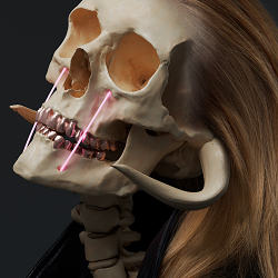 3D Stills Composites. Multimedia.