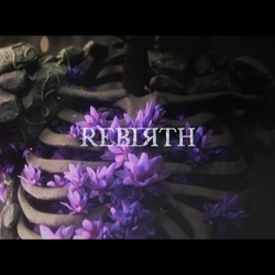 Rebirth