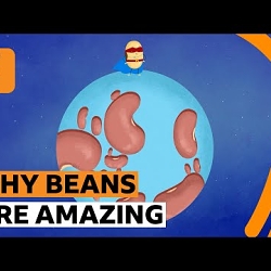BBC Ideas: How the humble bean can help the world