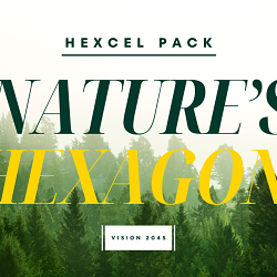 Nature's Hexagon