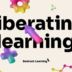 Bedrock Learning