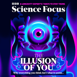 The Illusion of You