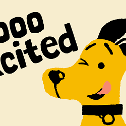 How we helped Dogs Trust reclaim its bark in a crowded charity world