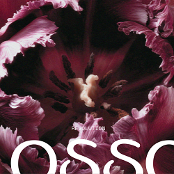 BLOSSOM intimate wellness branding & packaging