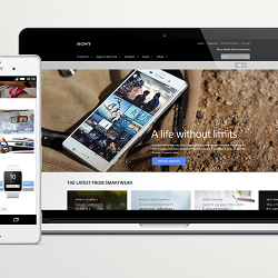 Sony Mobile - Creating a brand gateway