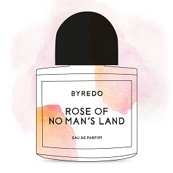 Illustrations beauty products