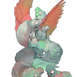 The Pigeons