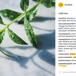 L'Occitane en Provence
