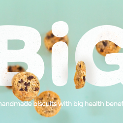 Big Biscuits
