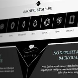 Jewellery Website Concept