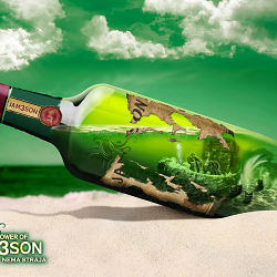 Pernod Ricard Croatia_Print Design & Photo Manipulation