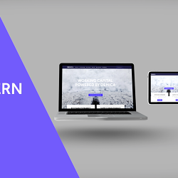 Demica online software project video