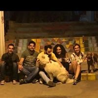 Joelle Haddad