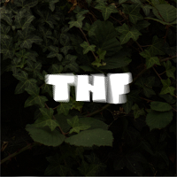 The Highest Finca