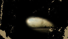 Mike Munt