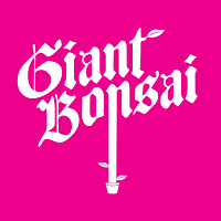 Giant Bonsai