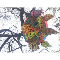 Shweta Jais
