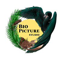 BioPicture Studio