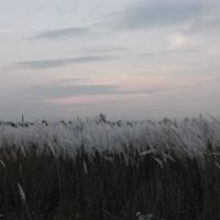 Tanvir-Hassan Kazi