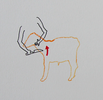 Liene Rubane