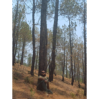 Sanyam Rastogi