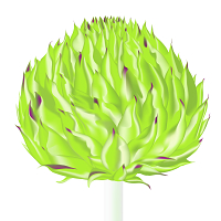 Nguyễn Thế Bảo