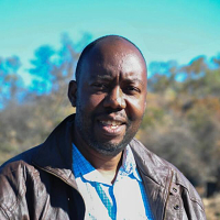 Decent Ngwenya