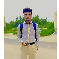 Malik Asad