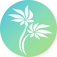 Technology Aloha