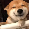 鹤 小