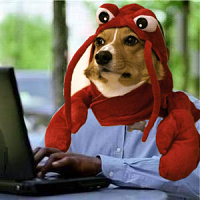 Mark