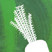 Riverford Organic Farmers